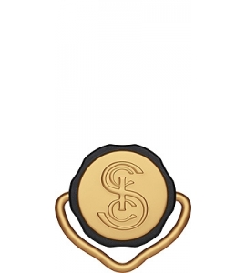 8246_40_retro_top_old_sigg_gold_RGB_klein